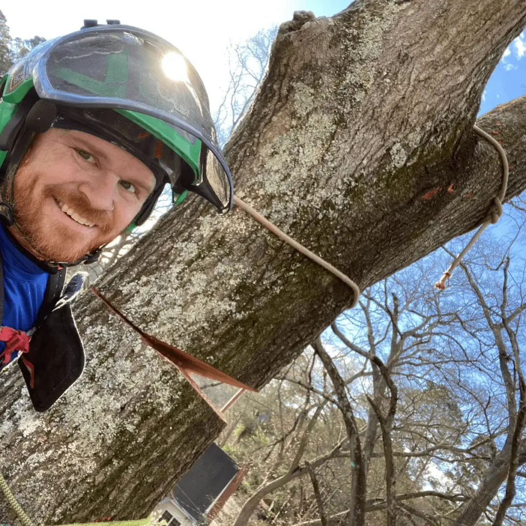 Travis Varner, owner of NC Trees & More, smiling from his climbing line beside a tree limb