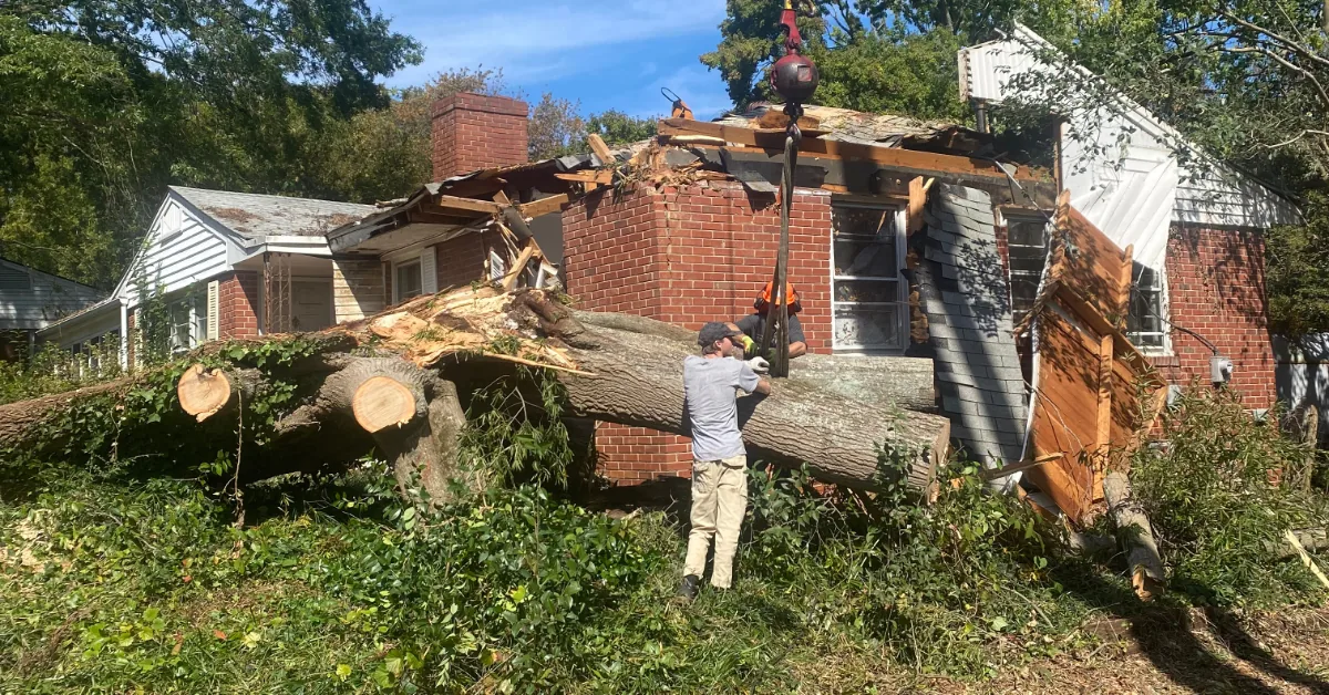 24 7 Emergency Tree Service