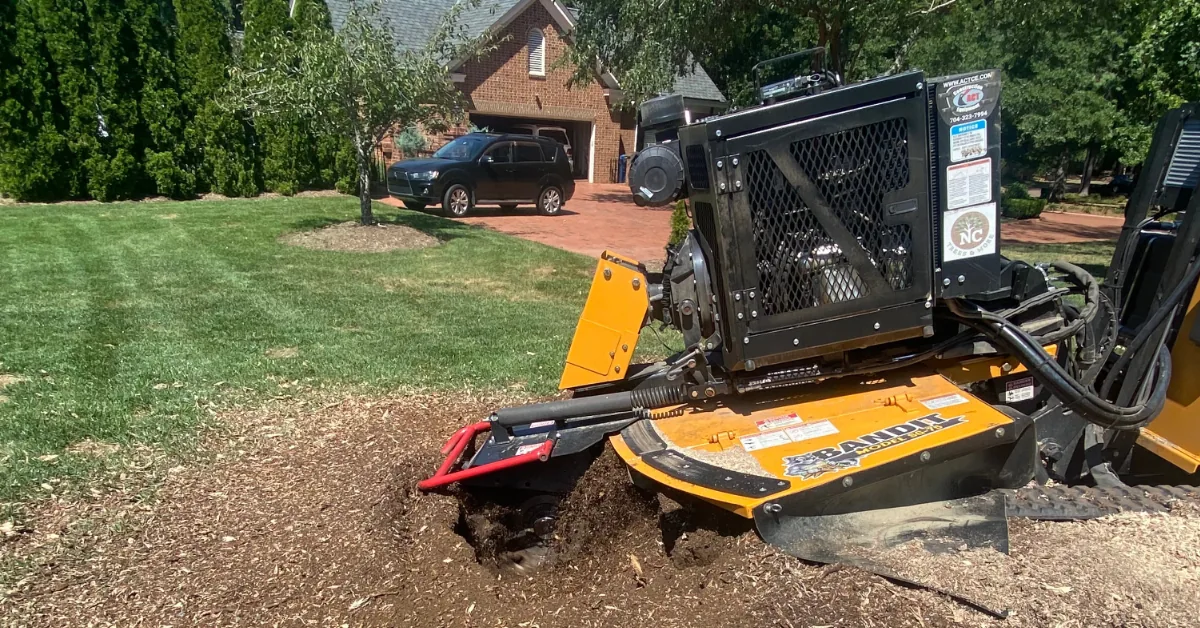 land after stump grinding