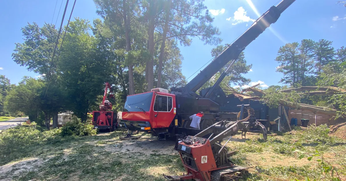Tree Service Company