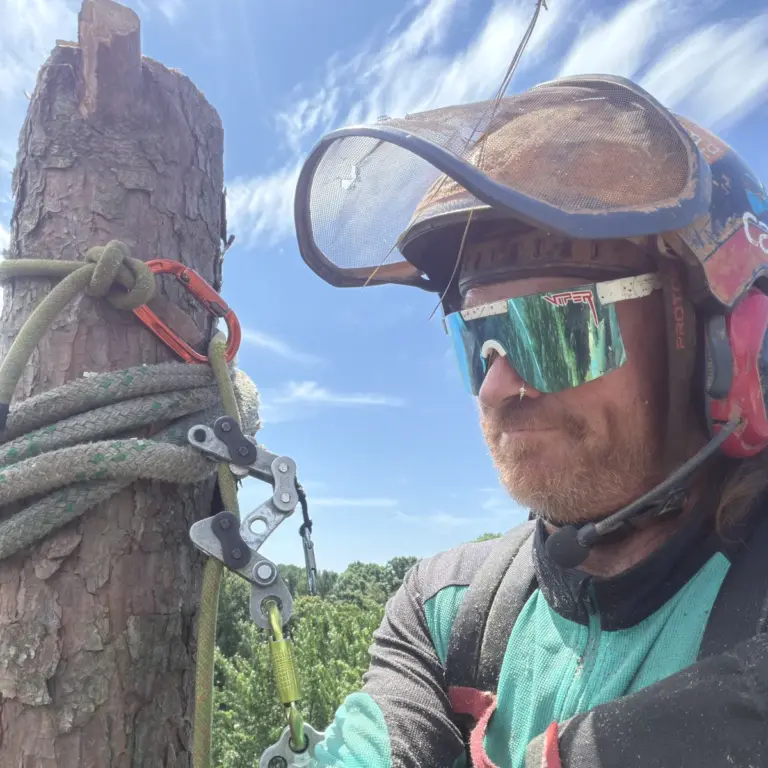 Travis Varner on his climbing line beside a topped pine spar rigged with rope and hardware