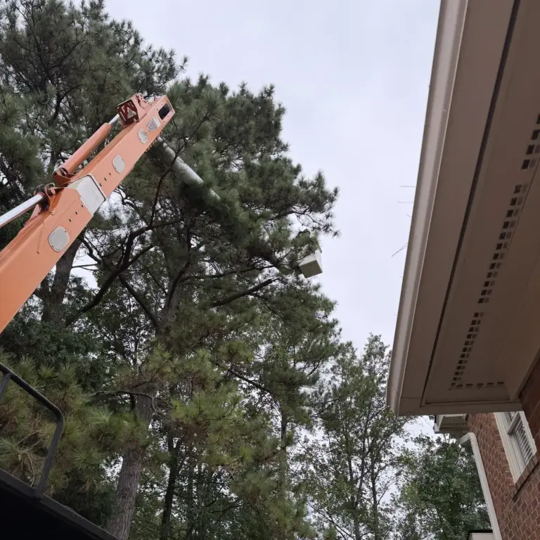 Crane boom reaching into tall pines beside a brick house during a tree removal
